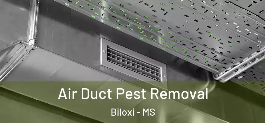  Air Duct Pest Removal Biloxi - MS
