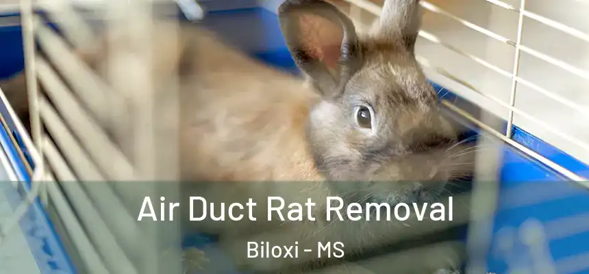  Air Duct Rat Removal Biloxi - MS
