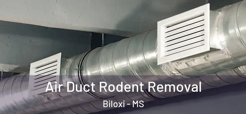  Air Duct Rodent Removal Biloxi - MS