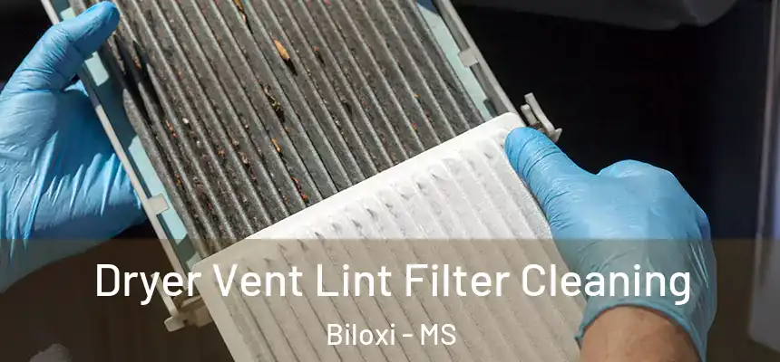 Dryer Vent Lint Filter Cleaning Biloxi - MS