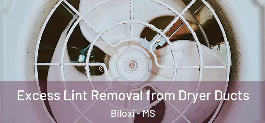  Excess Lint Removal from Dryer Ducts Biloxi - MS