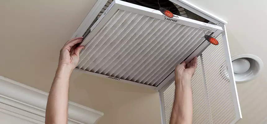 Preventive Cockroach-Proofing for Ducts in Biloxi