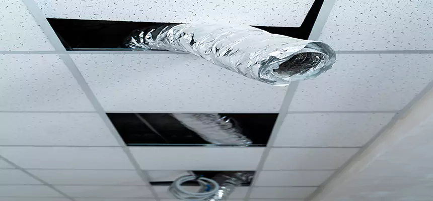 Affordable HVAC Sanitizing After Pest Removal in Biloxi