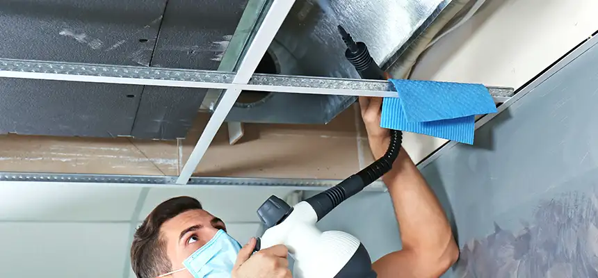Our Air Duct Rodent Removal Services in Biloxi, MS