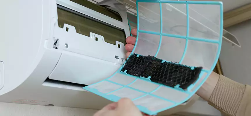 Gentle Ductwork Odor-Control Pet Dander Duct Cleaning in Biloxi, MS