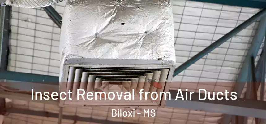  Insect Removal from Air Ducts Biloxi - MS