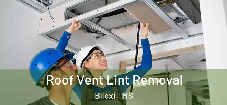  Roof Vent Lint Removal Biloxi - MS