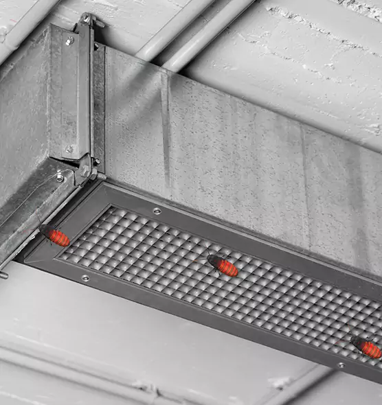 About Air Duct Cockroach Removal in Biloxi, MS