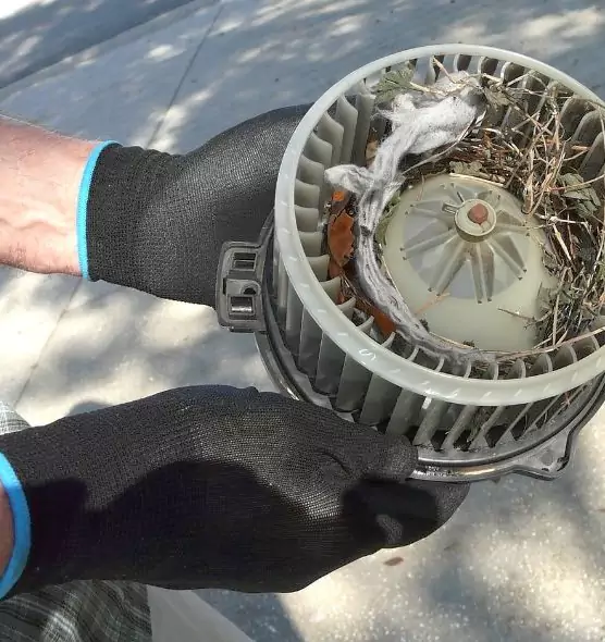 About Air Duct Mice Removal in Biloxi, MS