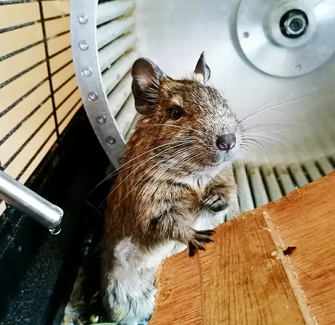 Why Homeowners & Businesses Trust Us Biloxi, MS