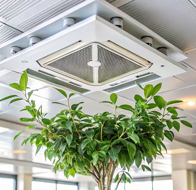 Why Homeowners & Businesses Trust Us in Biloxi, MS?